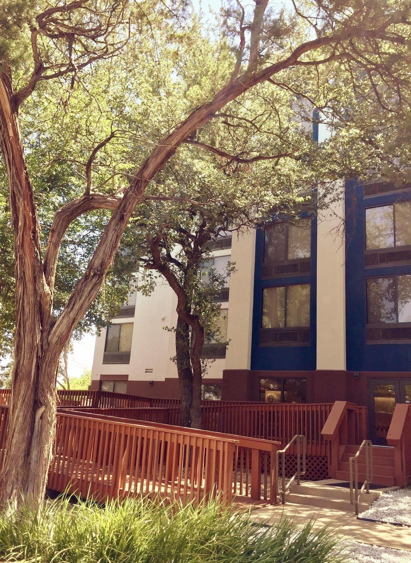 Springhill Suites By Marriott Austin The Domain Area Exterior photo